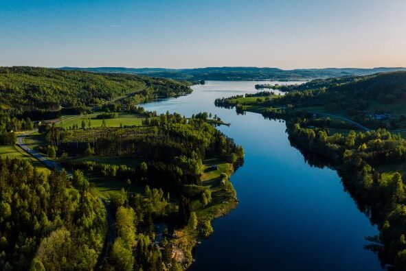 Landscape of rivers, pine trees and roads in between