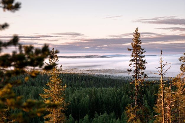 View of the rovaniemi landscape in finland